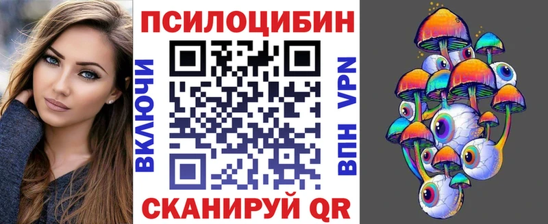 Псилоцибиновые грибы Cubensis  кракен как зайти  Таруса 
